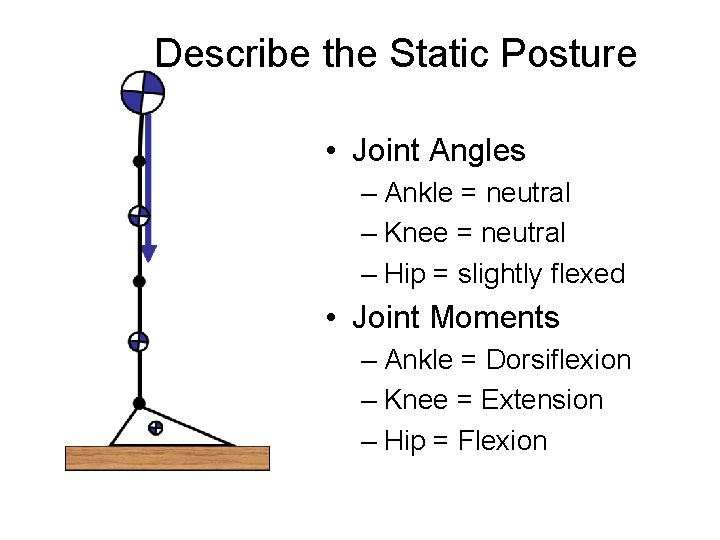 Describe the Static Posture • Joint Angles – Ankle = neutral – Knee =