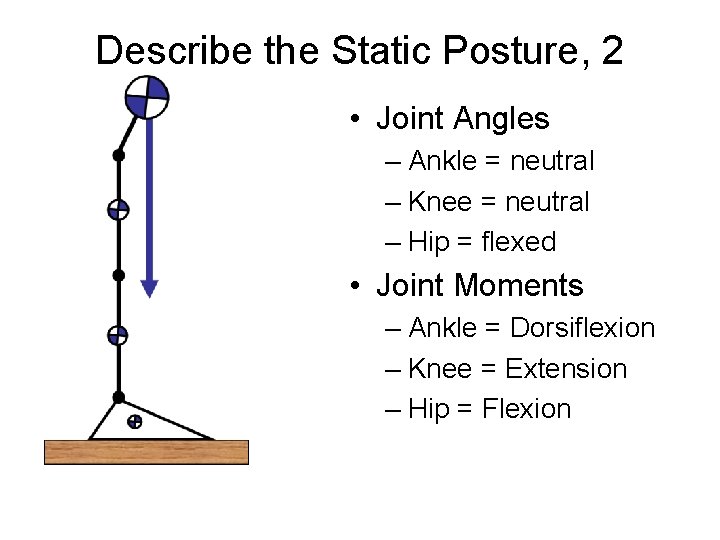 Describe the Static Posture, 2 • Joint Angles – Ankle = neutral – Knee