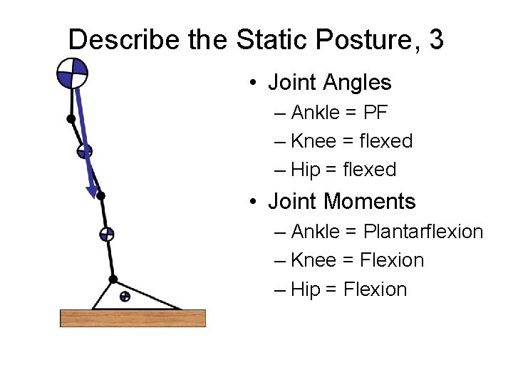 Describe the Static Posture, 3 • Joint Angles – Ankle = PF – Knee