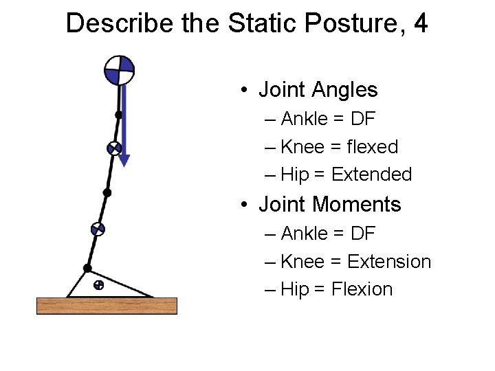 Describe the Static Posture, 4 • Joint Angles – Ankle = DF – Knee