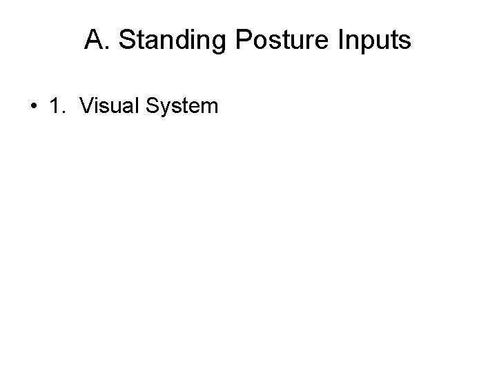 A. Standing Posture Inputs • 1. Visual System 