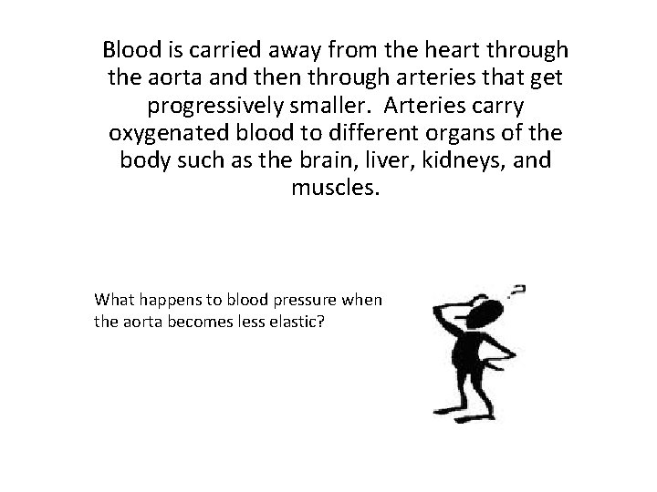 Blood is carried away from the heart through the aorta and then through arteries