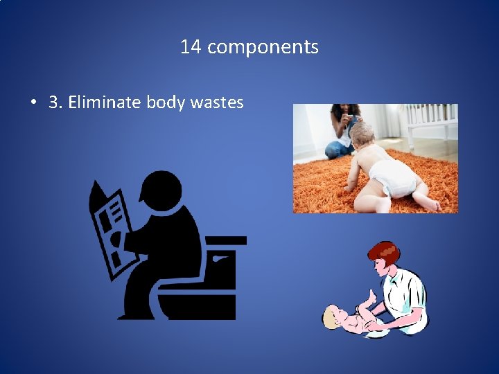 14 components • 3. Eliminate body wastes 