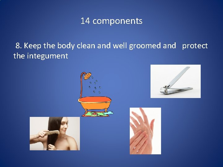 14 components 8. Keep the body clean and well groomed and protect the integument