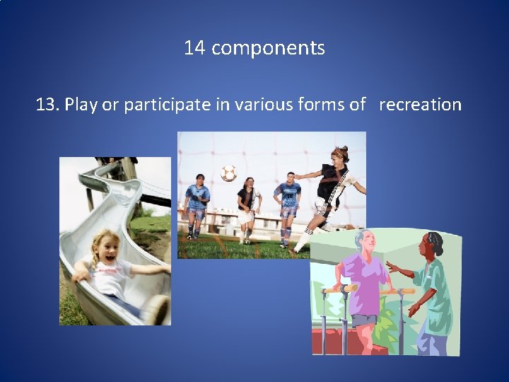 14 components 13. Play or participate in various forms of recreation 