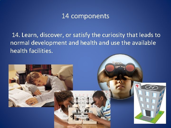 14 components 14. Learn, discover, or satisfy the curiosity that leads to normal development