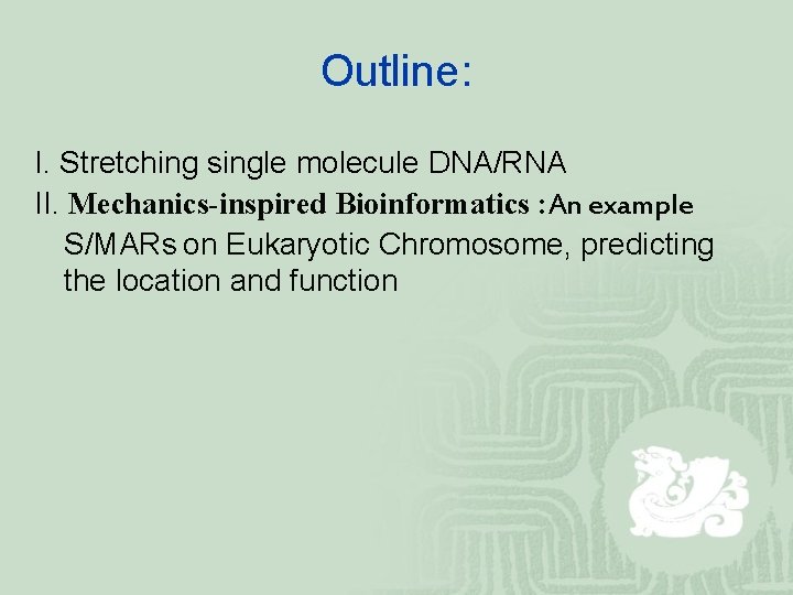 Outline: I. Stretching single molecule DNA/RNA II. Mechanics-inspired Bioinformatics : An example S/MARs on