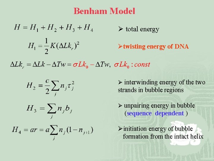Benham Model Ø total energy Øtwisting energy of DNA Ø interwinding energy of the