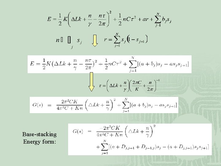 Base-stacking Energy form: 