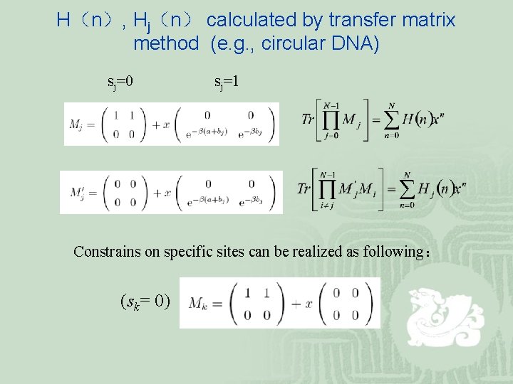 H（n）, Hj（n） calculated by transfer matrix method (e. g. , circular DNA) sj=0 sj=1