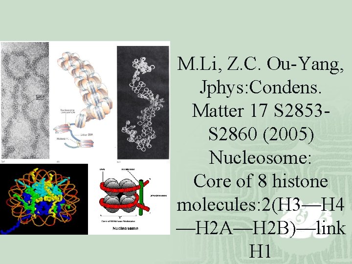M. Li, Z. C. Ou-Yang, Jphys: Condens. Matter 17 S 2853 S 2860 (2005)