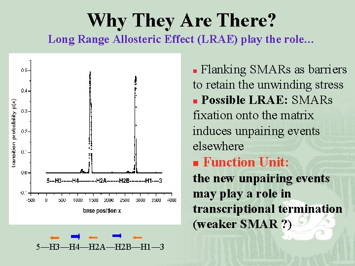Why They Are There? Long Range Allosteric Effect (LRAE) play the role… n Flanking