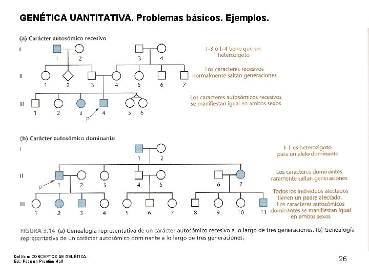GENÉTICA UANTITATIVA. Problemas básicos. Ejemplos. Del libro: CONCEPTOS DE GENÉTICA. Ed. : Pearson-Prentice Hall