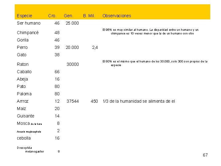Especie Cro. Gen. Ser humano 46 Chimpancé 48 Gorila 46 Perro 39 Gato 38