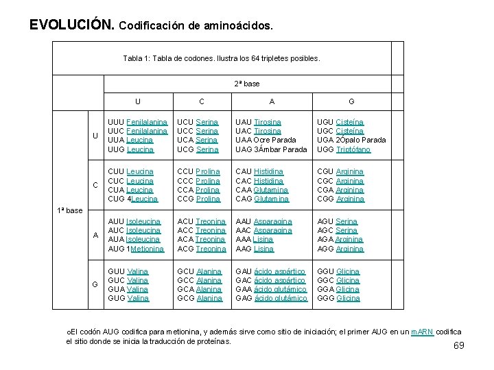 EVOLUCIÓN. Codificación de aminoácidos. Tabla 1: Tabla de codones. Ilustra los 64 tripletes posibles.