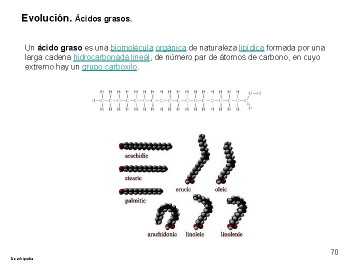 Evolución. Ácidos grasos. Un ácido graso es una biomolécula orgánica de naturaleza lipídica formada