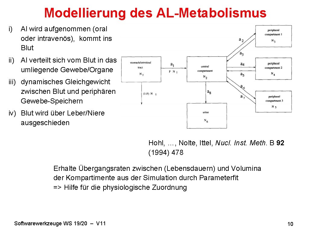 Modellierung des AL-Metabolismus i) Al wird aufgenommen (oral oder intravenös), kommt ins Blut ii)