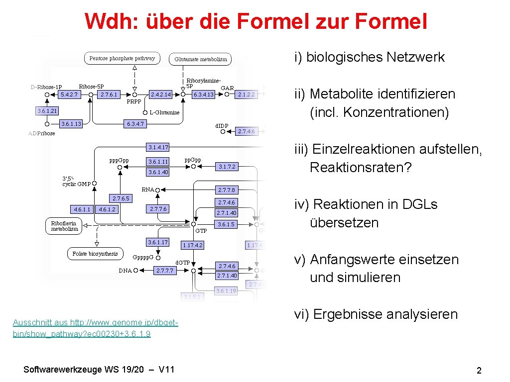 Wdh: über die Formel zur Formel i) biologisches Netzwerk ii) Metabolite identifizieren (incl. Konzentrationen)