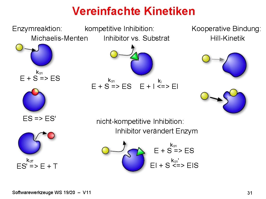 Vereinfachte Kinetiken Enzymreaktion: kompetitive Inhibition: Michaelis-Menten Inhibitor vs. Substrat Kooperative Bindung: Hill-Kinetik kon E