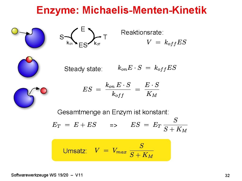 Enzyme: Michaelis-Menten-Kinetik E S kon ES koff Reaktionsrate: T Steady state: Gesamtmenge an Enzym