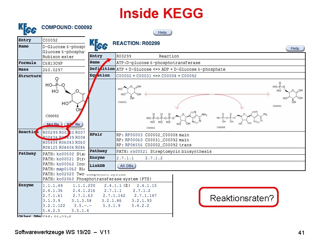 Inside KEGG Reaktionsraten? Softwarewerkzeuge WS 19/20 – V 11 41 