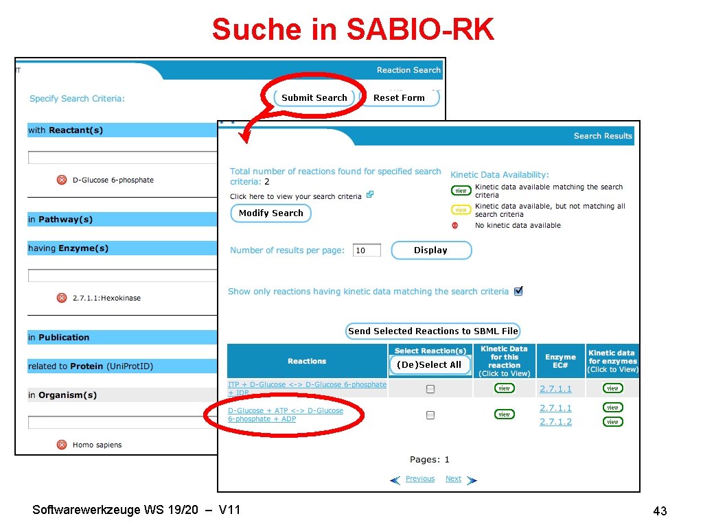 Suche in SABIO-RK Softwarewerkzeuge WS 19/20 – V 11 43 