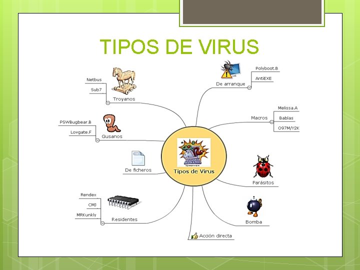 TIPOS DE VIRUS 