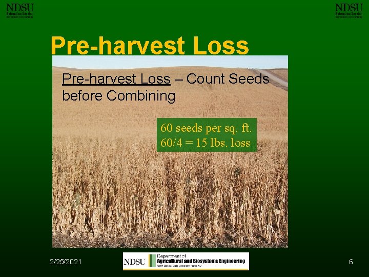 Pre-harvest Loss – Count Seeds before Combining 60 seeds per sq. ft. 60/4 =