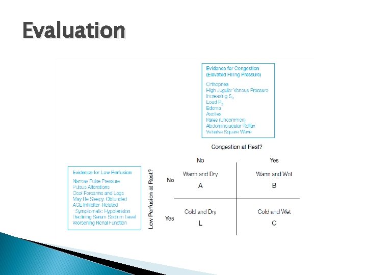 Evaluation 