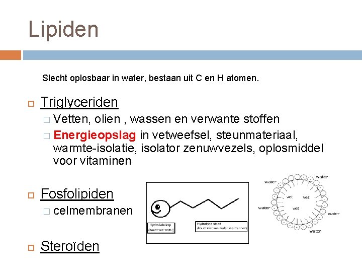 Lipiden Slecht oplosbaar in water, bestaan uit C en H atomen. Triglyceriden � Vetten,