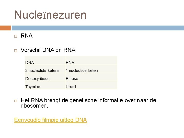 Nucleïnezuren RNA Verschil DNA en RNA Het RNA brengt de genetische informatie over naar