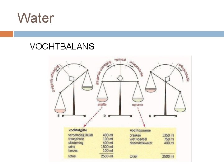 Water VOCHTBALANS 