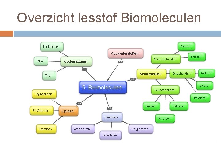 Overzicht lesstof Biomoleculen 