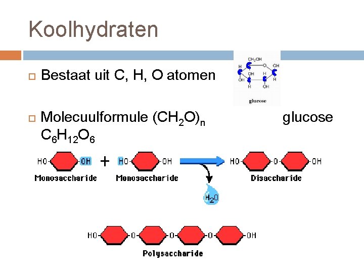 Koolhydraten Bestaat uit C, H, O atomen Molecuulformule (CH 2 O)n C 6 H