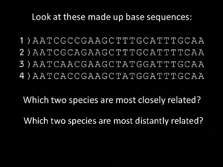 Which two species are most distantly related? 