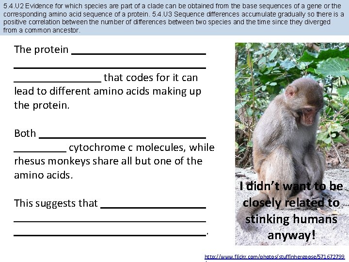 5. 4. U 2 Evidence for which species are part of a clade can
