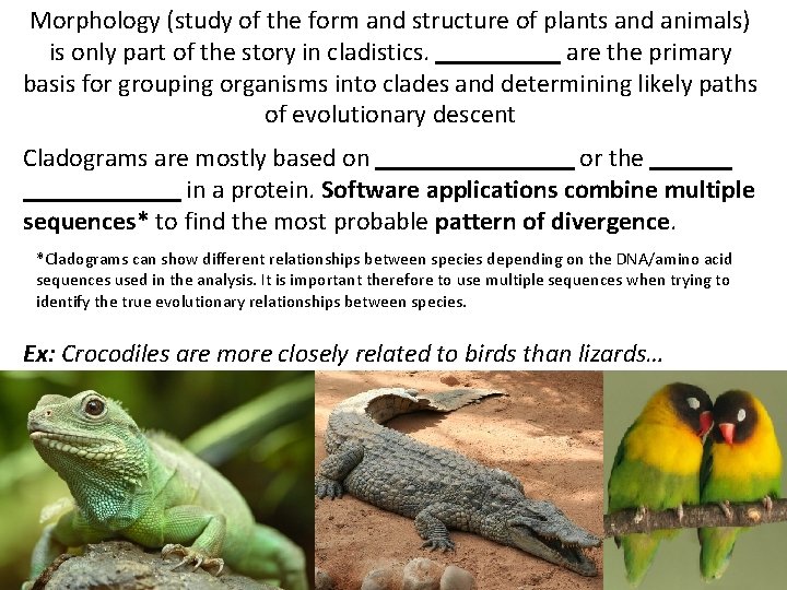 Morphology (study of the form and structure of plants and animals) is only part