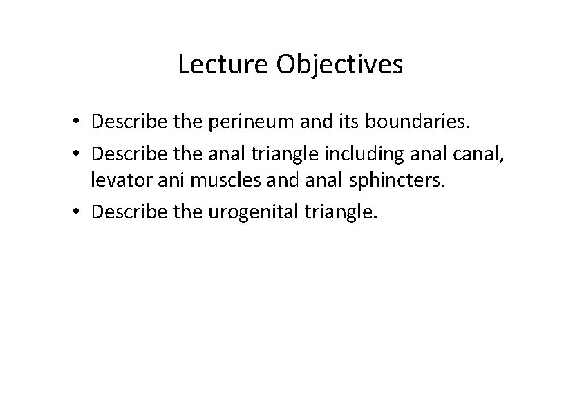 Lecture Objectives • Describe the perineum and its boundaries. • Describe the anal triangle