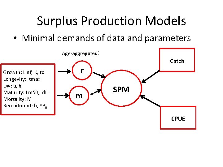 Surplus Production Models • Minimal demands of data and parameters Age-aggregated! Catch Growth: Linf,