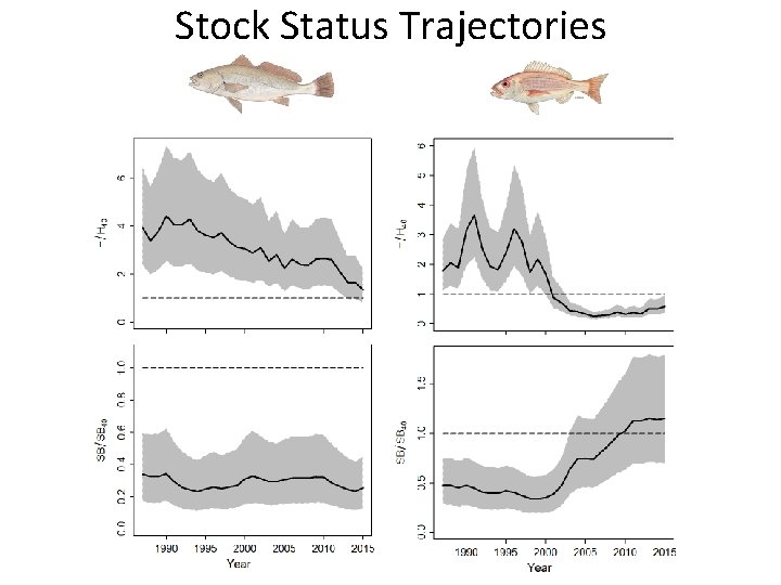 Stock Status Trajectories 