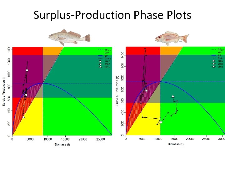 Surplus-Production Phase Plots 