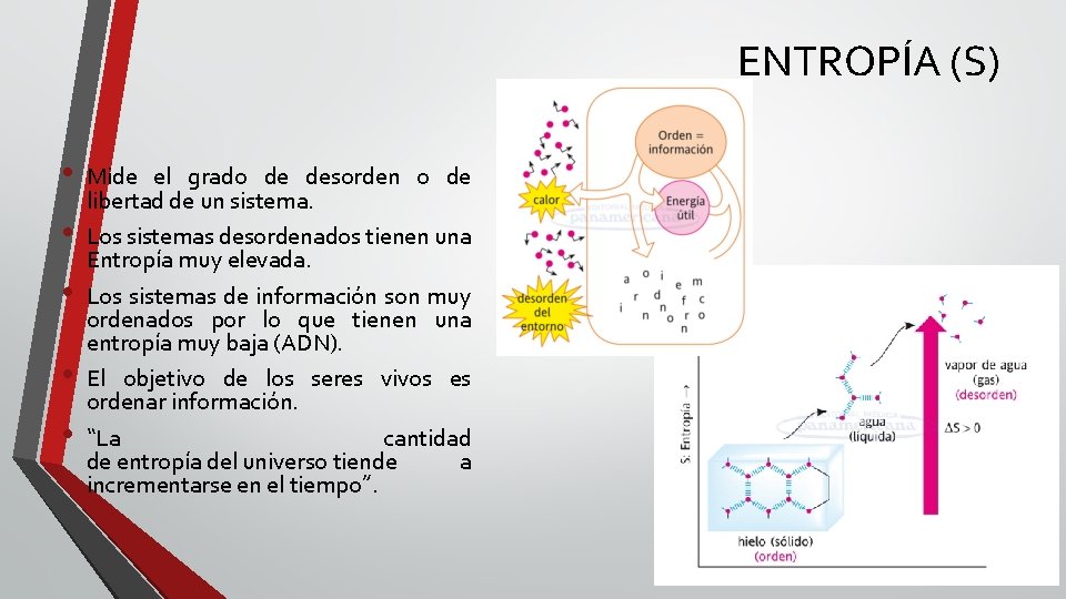 ENTROPÍA (S) • • • Mide el grado de desorden o de libertad de