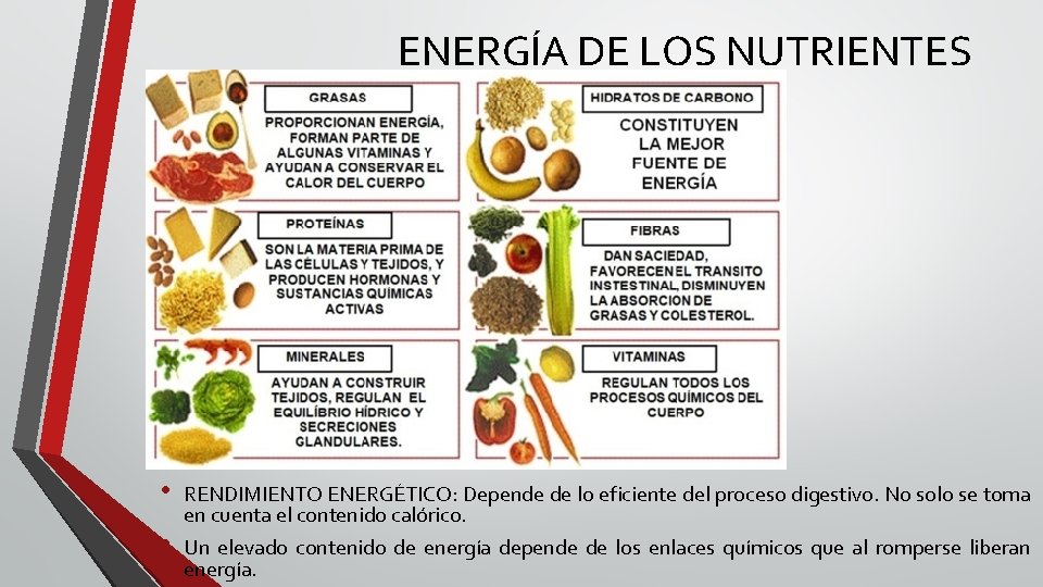ENERGÍA DE LOS NUTRIENTES • • RENDIMIENTO ENERGÉTICO: Depende de lo eficiente del proceso