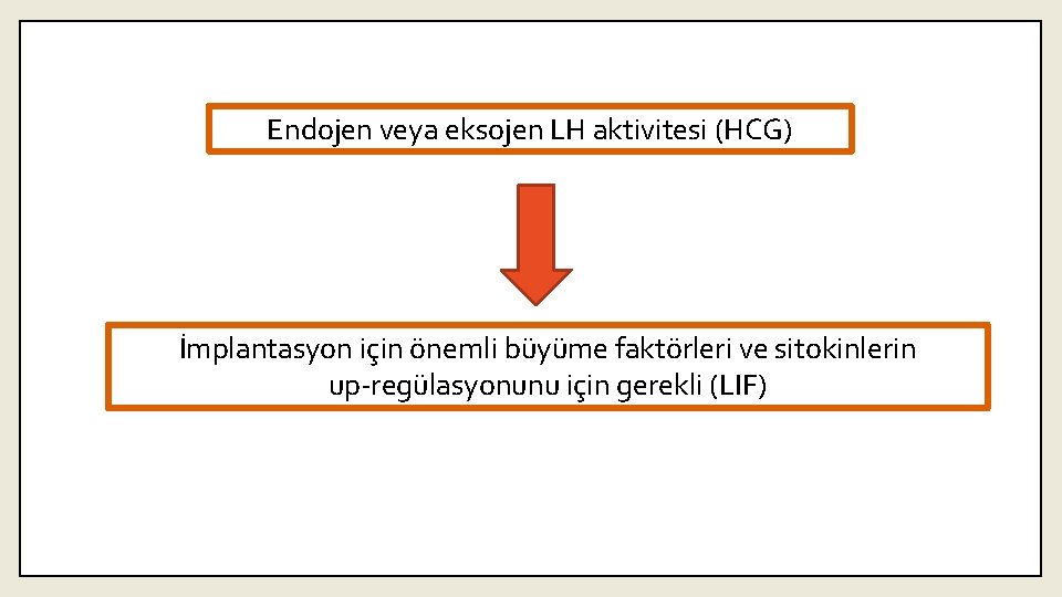 Endojen veya eksojen LH aktivitesi (HCG) İmplantasyon için önemli büyüme faktörleri ve sitokinlerin up-regülasyonunu