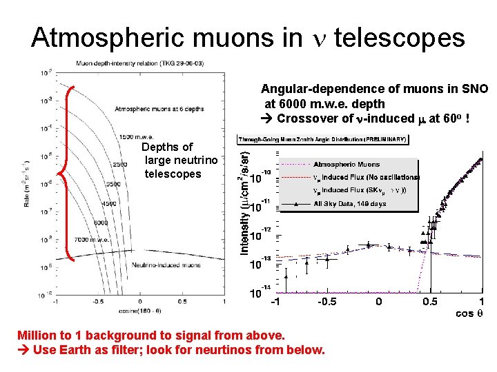 Atmospheric muons in n telescopes Angular-dependence of muons in SNO at 6000 m. w.