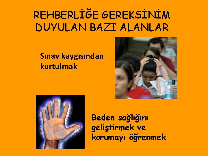 REHBERLİĞE GEREKSİNİM DUYULAN BAZI ALANLAR Sınav kaygısından kurtulmak Beden sağlığını geliştirmek ve korumayı öğrenmek