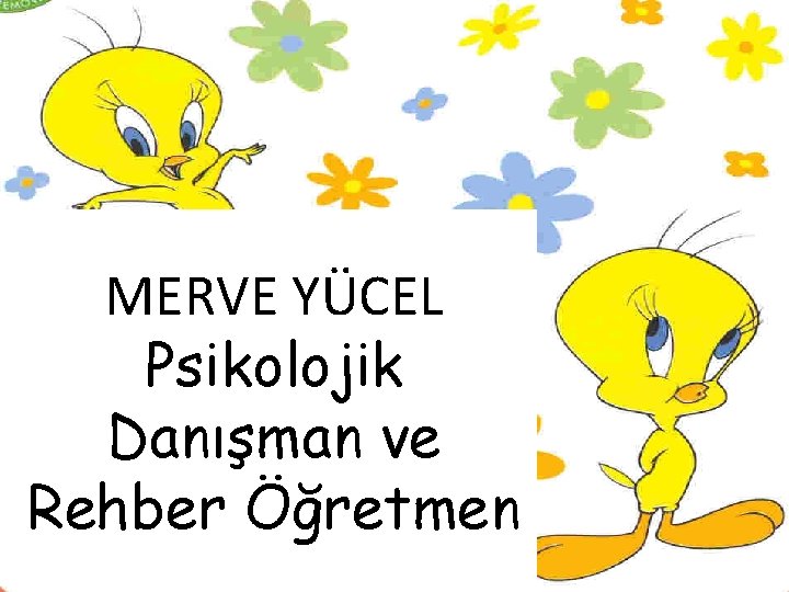 MERVE YÜCEL Psikolojik Danışman ve Rehber Öğretmen 