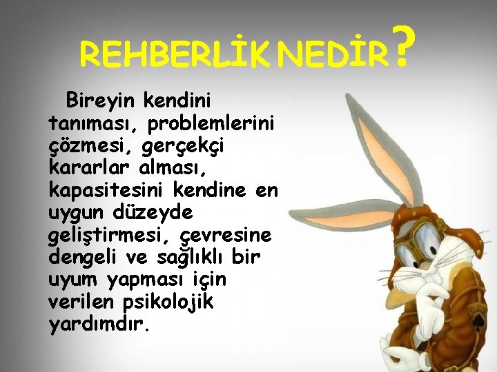 REHBERLİK NEDİR Bireyin kendini tanıması, problemlerini çözmesi, gerçekçi kararlar alması, kapasitesini kendine en uygun