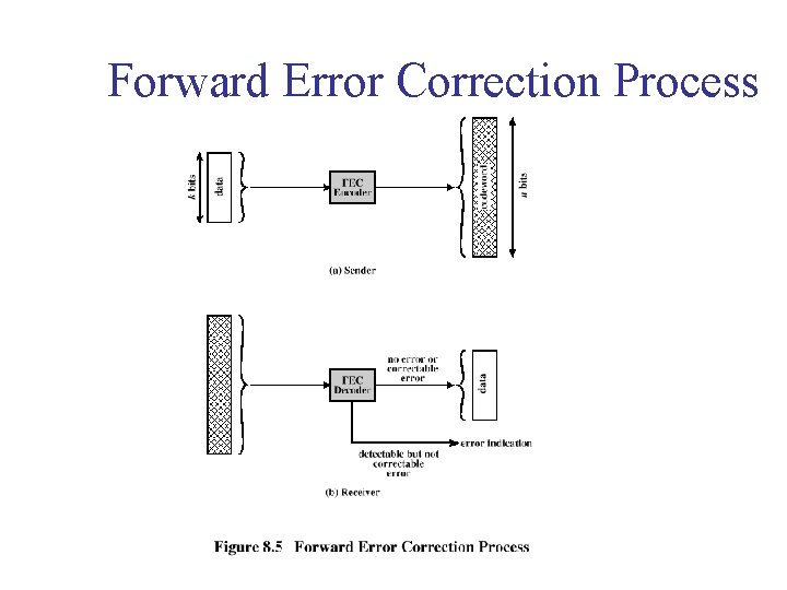 Forward Error Correction Process 