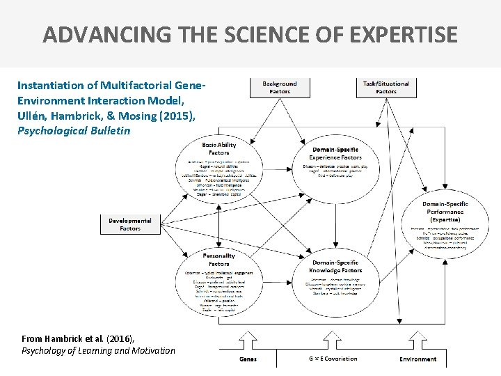 ADVANCING THE SCIENCE OF EXPERTISE Instantiation of Multifactorial Gene. Environment Interaction Model, Ullén, Hambrick,